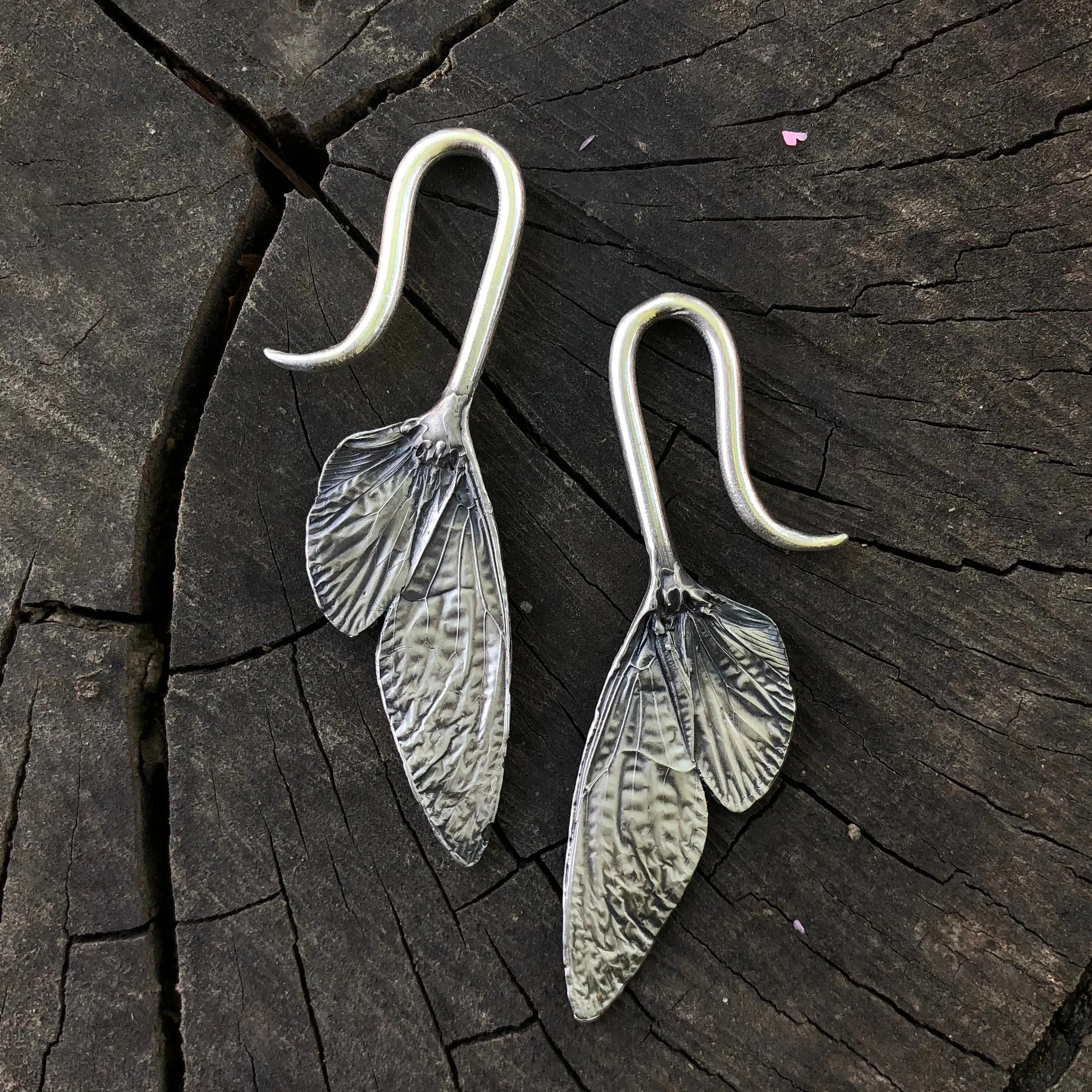 cicada wing earrings